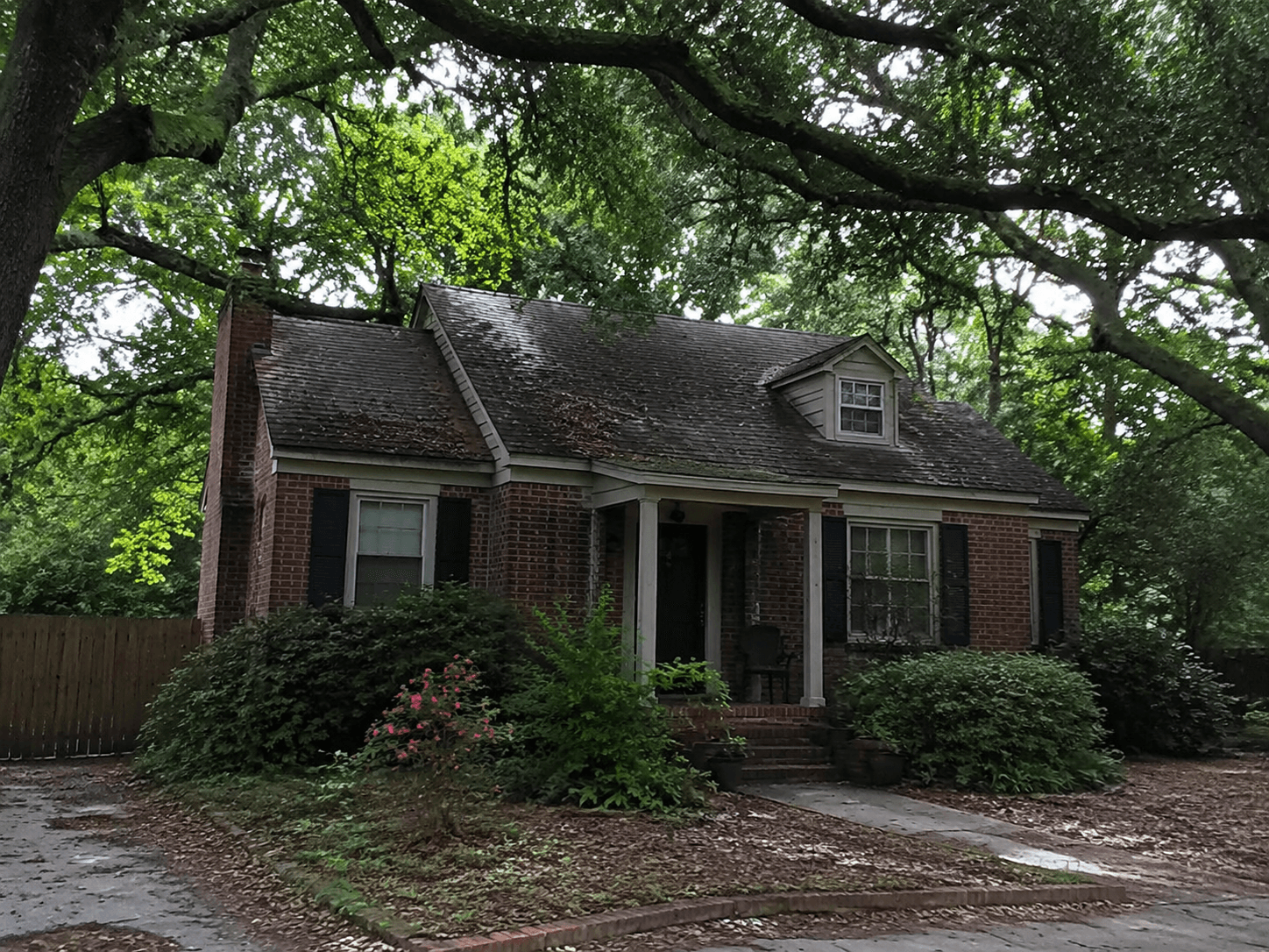 A Midlands home with rooftop solar among tall pines